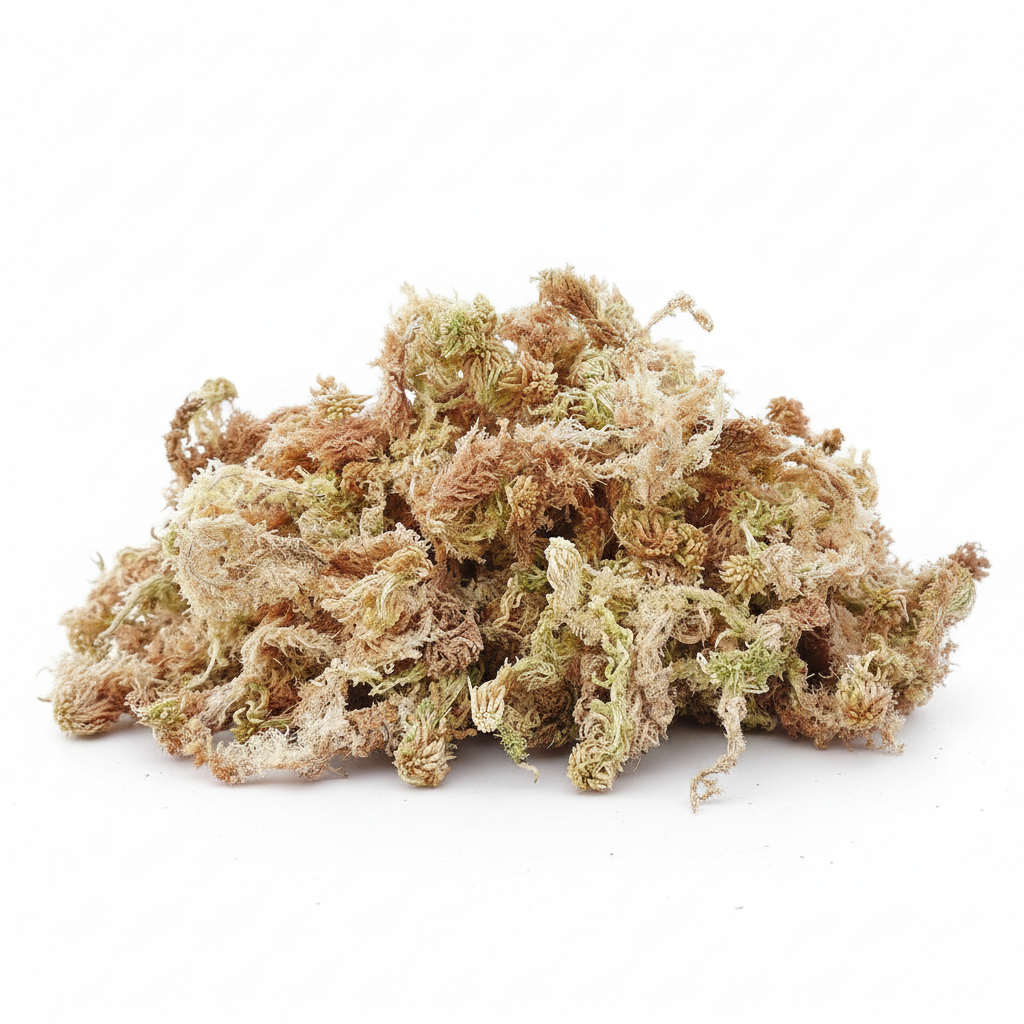 Sphagnum Moss Product Photo